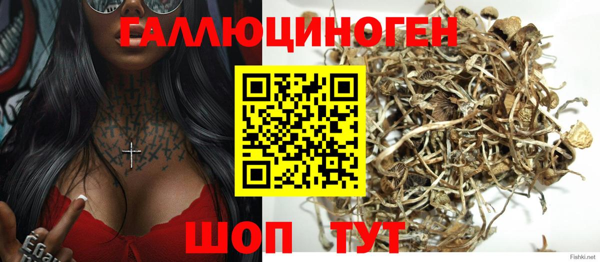Галлюциногенные грибы мицелий  закладки  Кохма  Вход с VPN 