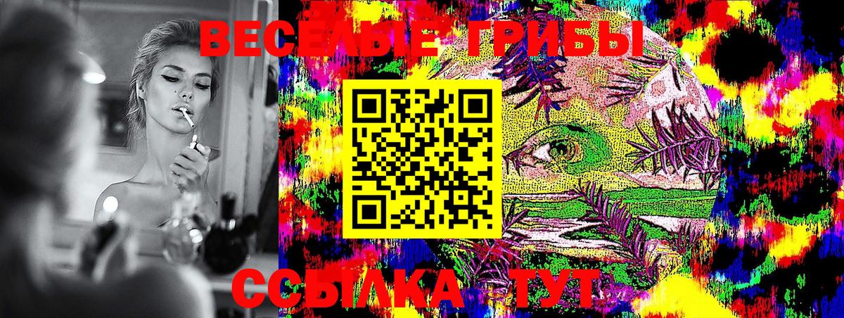 A PVP Кохма
